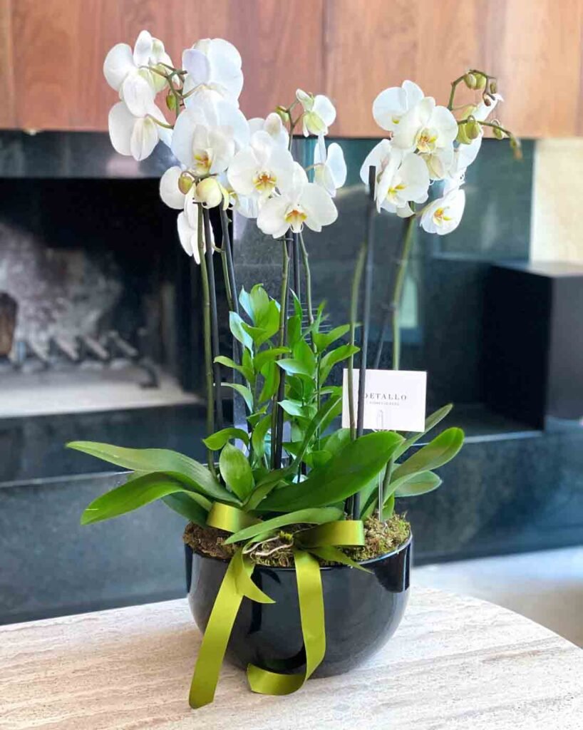 Cerámico negro con bosque de orquídeas