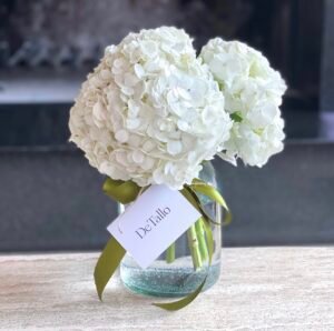 Florero con hortensias blancas