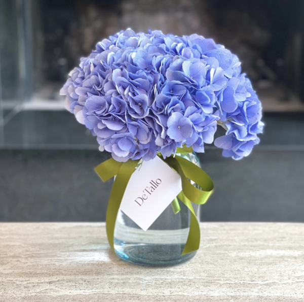 Lechero hortensias de color