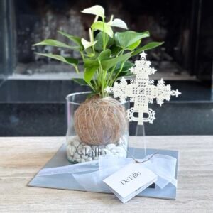 Kokedama anturio con Cruz acrílico 28cm