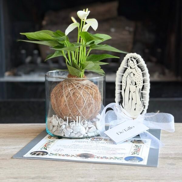 Kokedama anturio con Virgen + Misa
