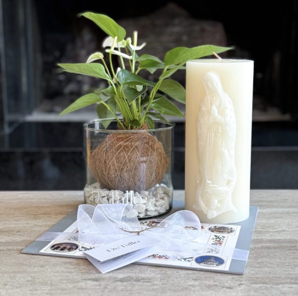 Kokedama anturio con Cirio + Misa