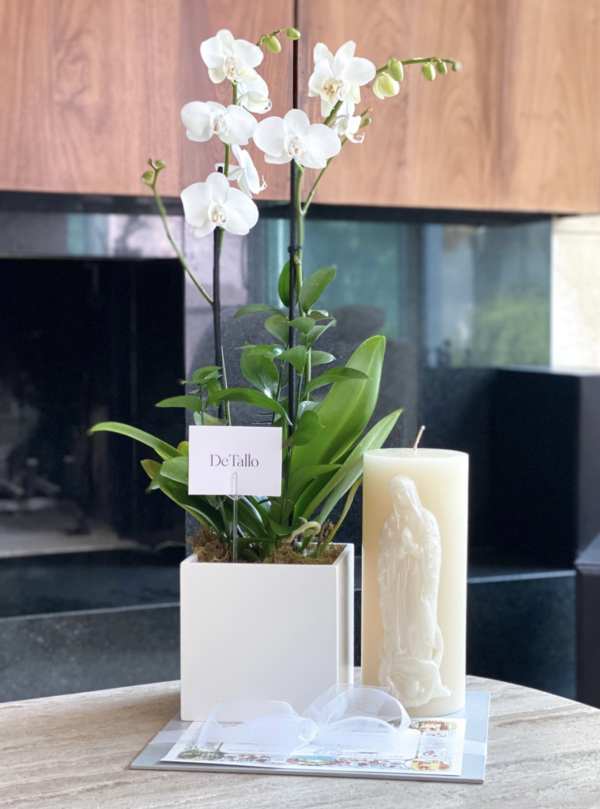 Orquídea con Cirio + Misa