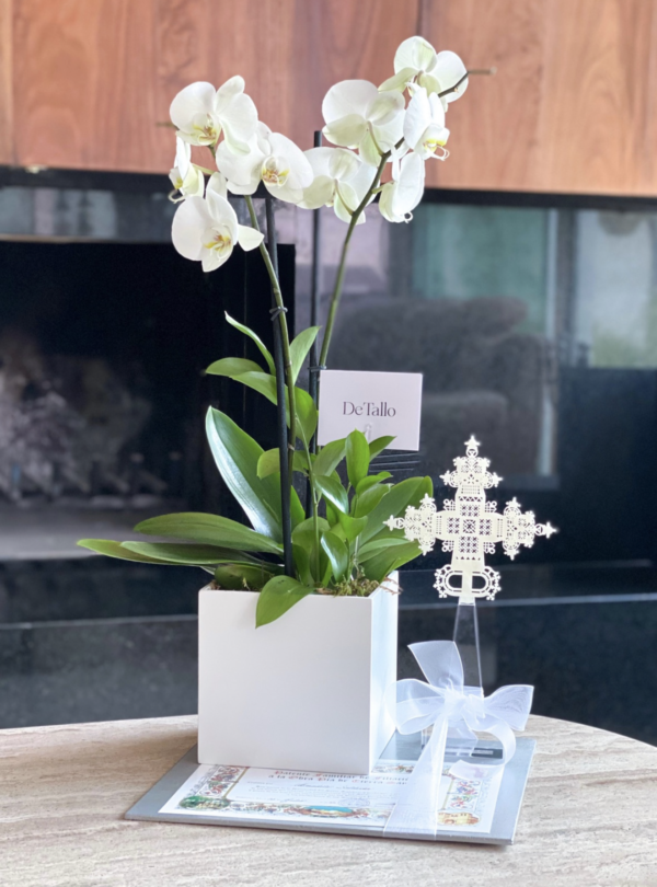 Orquídea con Cruz acrílico 28cm + Misa
